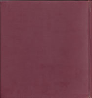 ���̋|���C�s